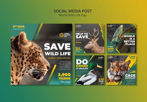 Free PSD | World wild life day instagram posts template