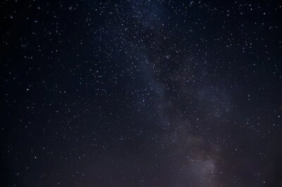 Free Photo | Low angle shot of the mesmerizing starry sky