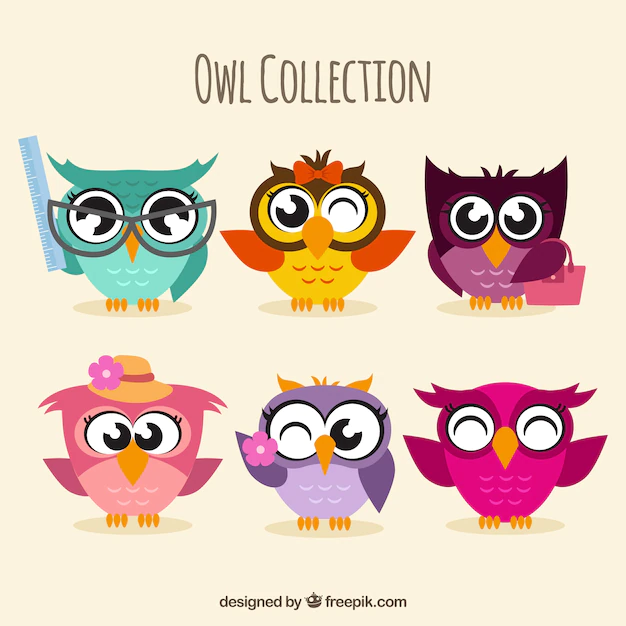 Free Vector | Assortment of colorful owls in flat design