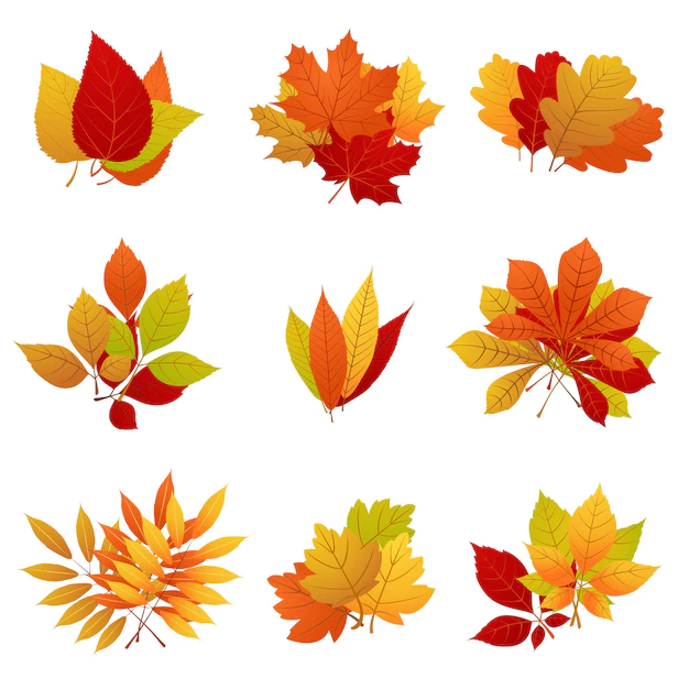 Free Vector | Autumn orange and yellow set.