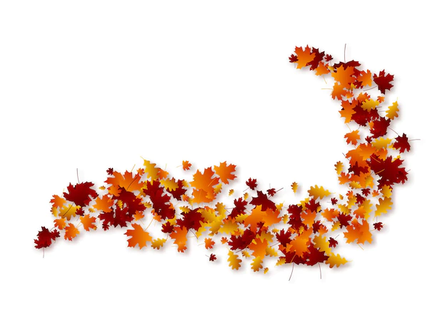 Free Vector | Autumn swirl leaves.