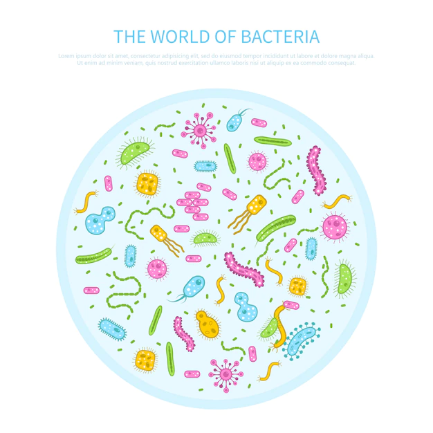 Free Vector | Bacteria concept illustration