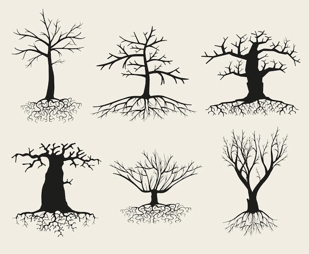 Free Vector | Bare tree silhouette set with roots