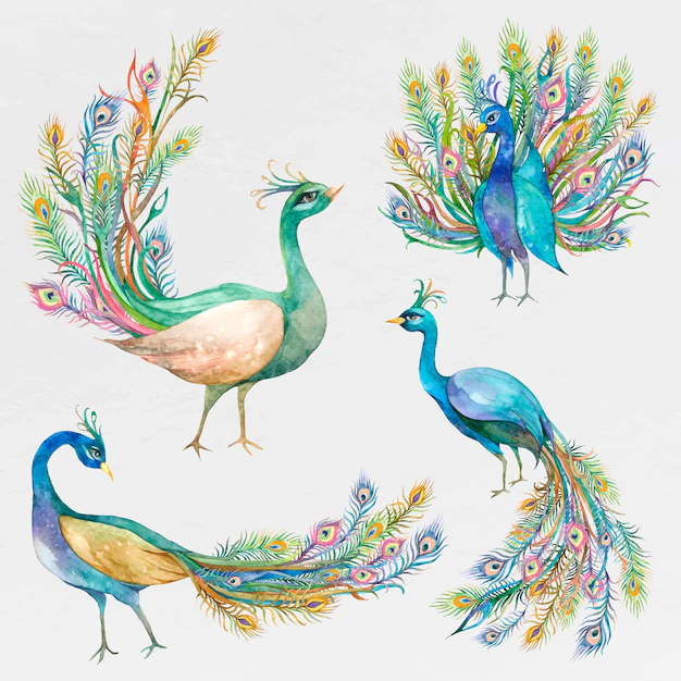 Free Vector | Beautiful watercolor peacock set