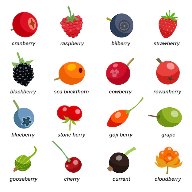 Free Vector | Berries colored icons set with inscription