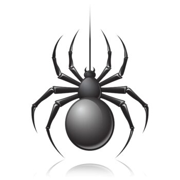 Free Vector | Black spider