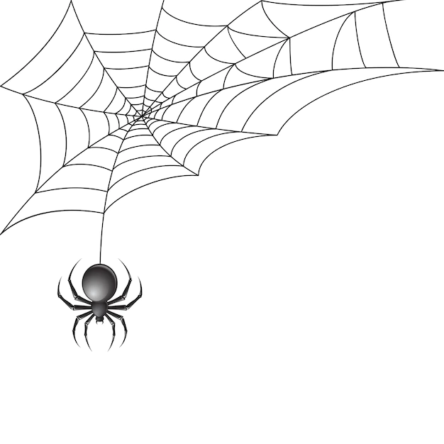 Free Vector | Black spider with spiderweb