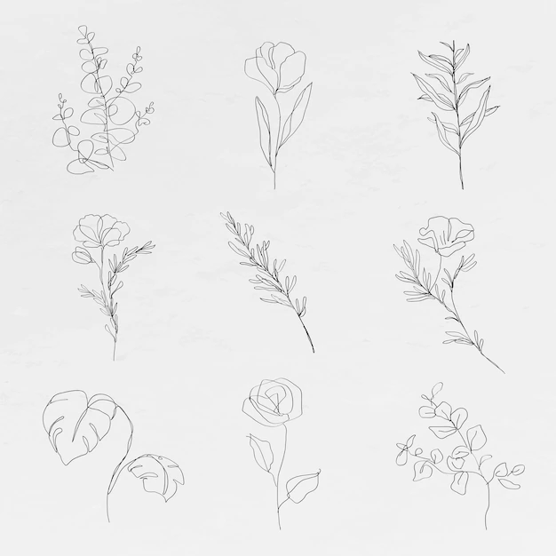 Free Vector | Botanic line art flowers  minimal abstract drawings collection