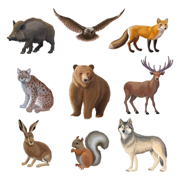 Free Vector | Cartoon forest animals set