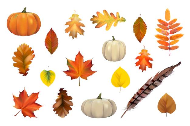 Free Vector | Collection of autumn leaves vector