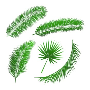 Free Vector | Collection of palm tree leaves isolated vector illustration