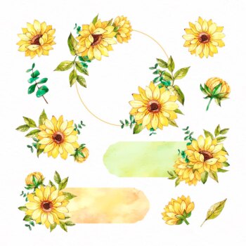 Free Vector | Collection of watercolour sunflower frame and scrapbook set