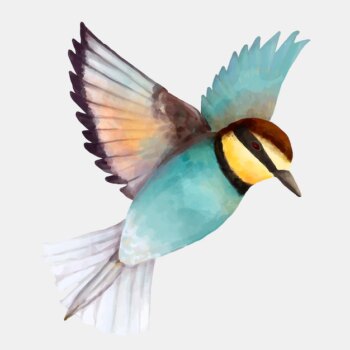 Free Vector | Colorful blue bird watercolor clipart