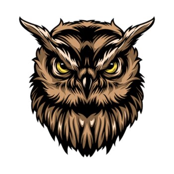 Free Vector | Colorful concentrated wise owl template