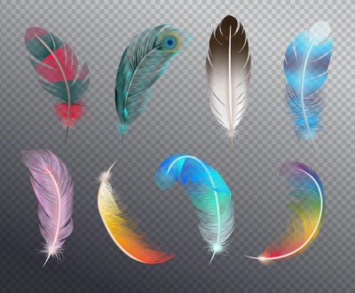 Free Vector | Colorful realistic set of bird feathers painted in different patterns illustration