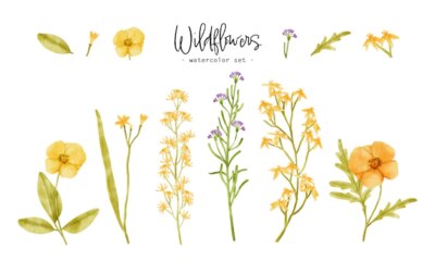 Free Vector | Cute wildflowers plants watercolor illustration for decorative element