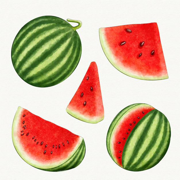 Free Vector | Different angles of watermelon fruit