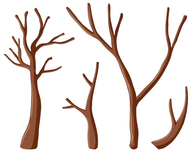 Free Vector | Different shapes of branches