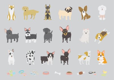 Free Vector | Dog collection