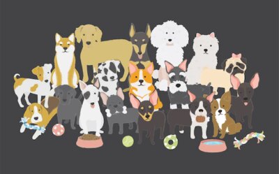 Free Vector | Dogs family