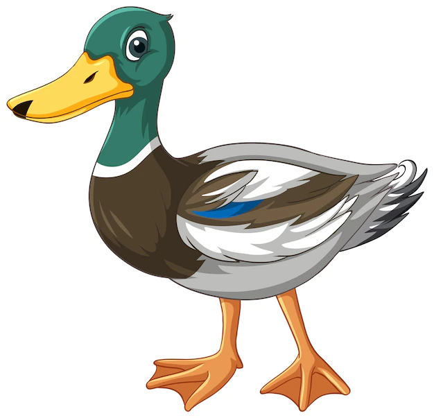 Free Vector | Duck with green head cartoon character