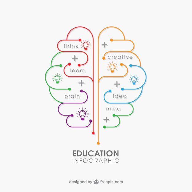 Free Vector | Education infographic