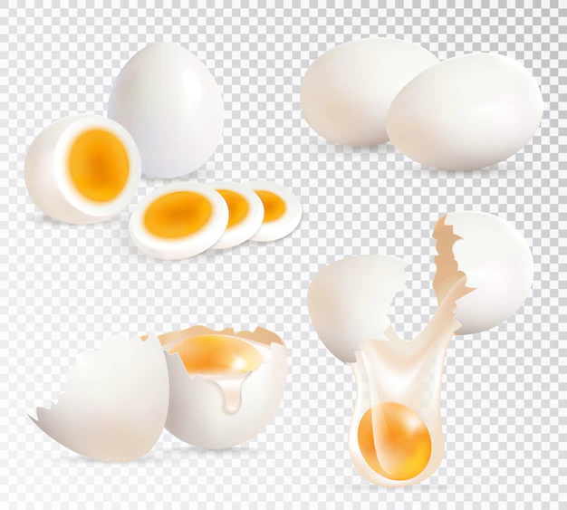 Free Vector | Eggs realistic set