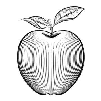 Free Vector | Engraving apple. vegetarian and nature, leaf and healthy.
