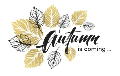 Free Vector | Fall background design with golden and black autumn leaves. vector illustration eps10