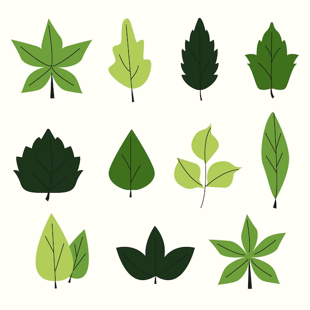 Free Vector | Flat design green leaves set