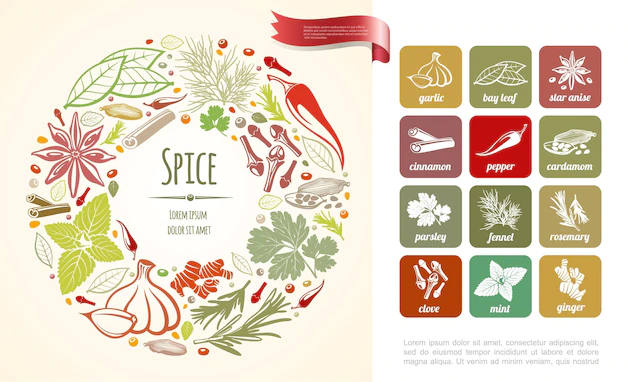 Free Vector | Fresh cooking spices round  with healthy plants in hand drawn style illustration