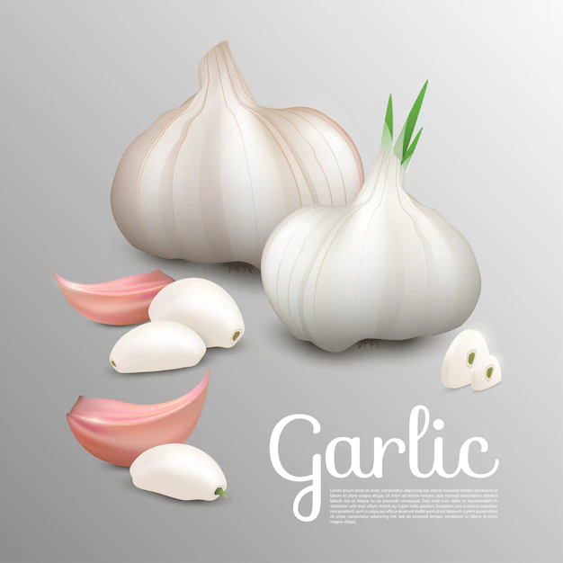 Free Vector | Fresh natural garlic concept