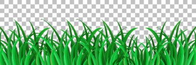 Free Vector | Grass and plants on transparent background for decor