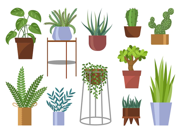 Free Vector | Green plants in pots cartoon set. different potted decorative houseplants for interior design. decoration, gardening, floral collection, isolated on white
