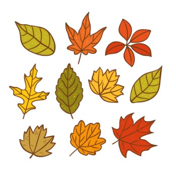 Free Vector | Hand drawn autumn leaves collection