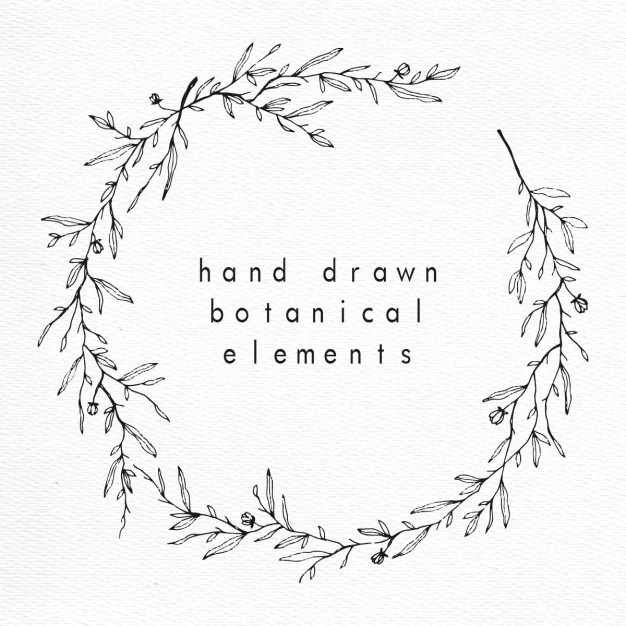 Free Vector | Hand drawn botanical elements