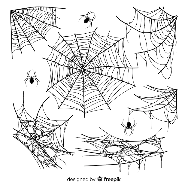 Free Vector | Hand drawn cobweb collection