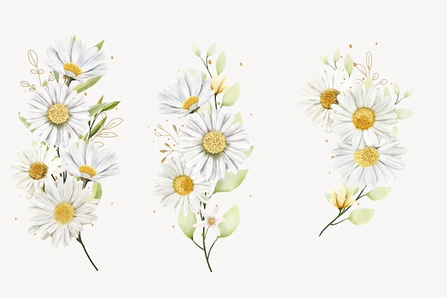 Free Vector | Hand drawn daisy floral bouquet background design