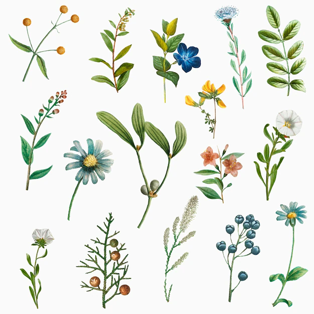 Free Vector | Hand drawn flower  set vintage illustration