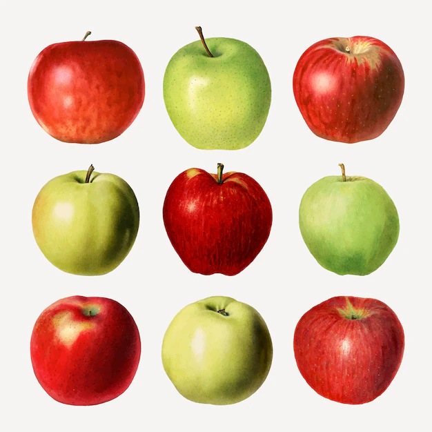 Free Vector | Hand drawn fresh apple set
