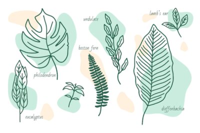 Free Vector | Hand drawn leaf types set with abstract shapes