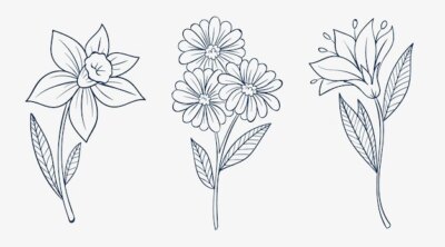 Free Vector | Hand drawn simple flower outline