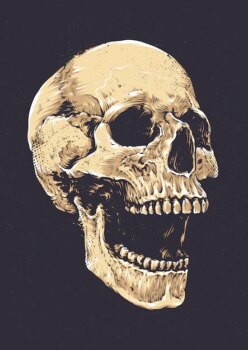 Free Vector | Hand drawn skull