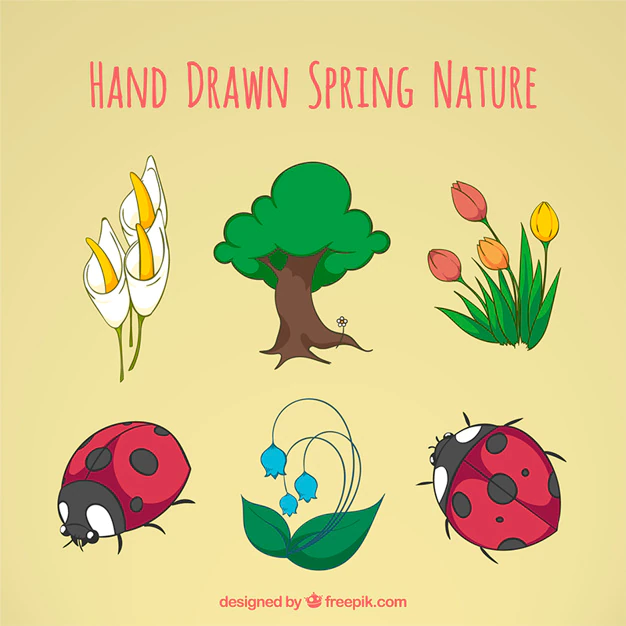 Free Vector | Hand drawn spring nature