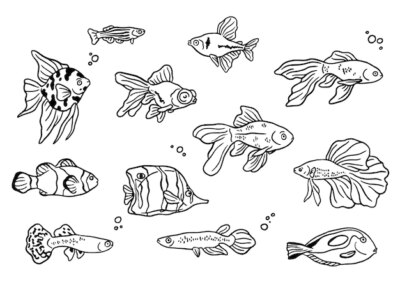 Free Vector | Handrawn fishes collection