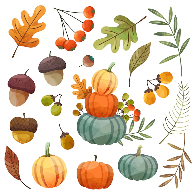 Free Vector | Happy thanksgiving day card or flyer with walnut, pumpkin and maple leaves.