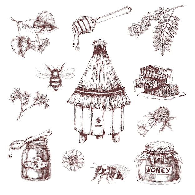 Free Vector | Honey elements hand drawn set