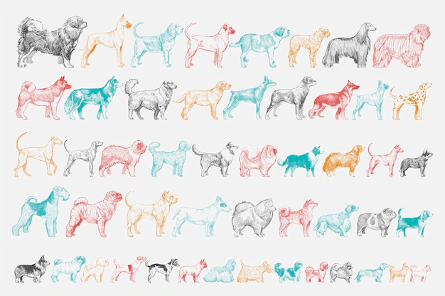 Free Vector | Illustration drawing style of dog