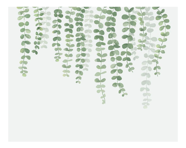 Free Vector | Illustration of hanging plant isolated on white background