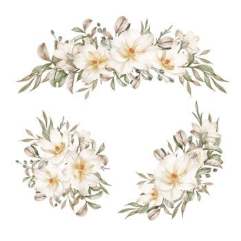 Free Vector | Magnolia white watercolor flower arrangement collection